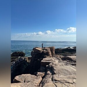 Live show listing - various sizes